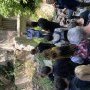 IMG 0105