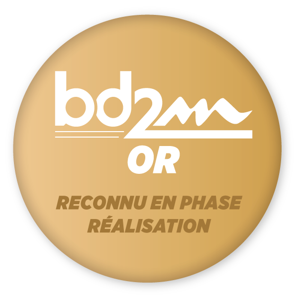 MedailleBD2M OR Realisation