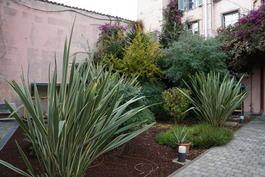 Le Provence - (c) EnvirobatBDM