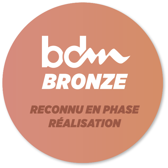 BDM Medailles 2018 BRONZE REALISATION