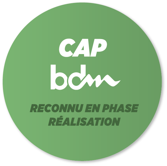 BDM Medailles 2018 CAP REALISATION